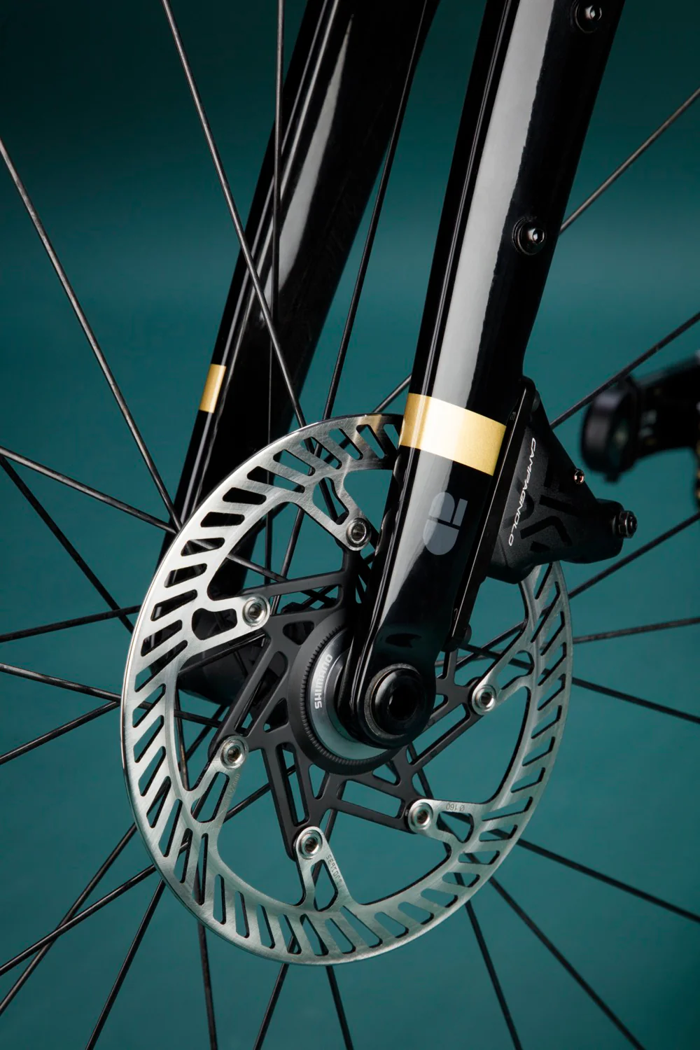 AO BLACK + UD W/ GOLD (KOURA) - Image 10