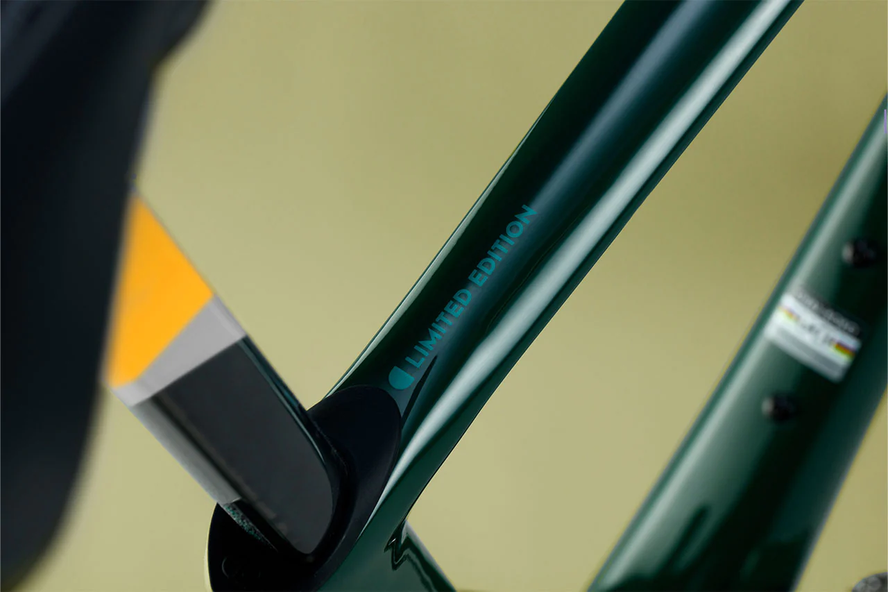 KOKO BRG + YELLOW W/ SILVER - Image 16