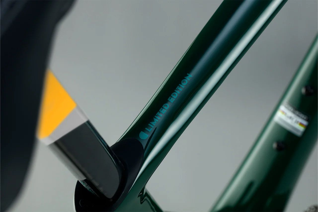 KOKO BRG + YELLOW W/ SILVER - Image 7