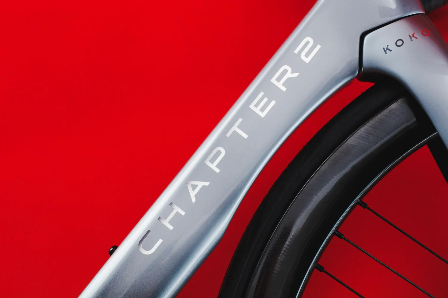 KOKO SILVER + UD (PONGA) - Image 11