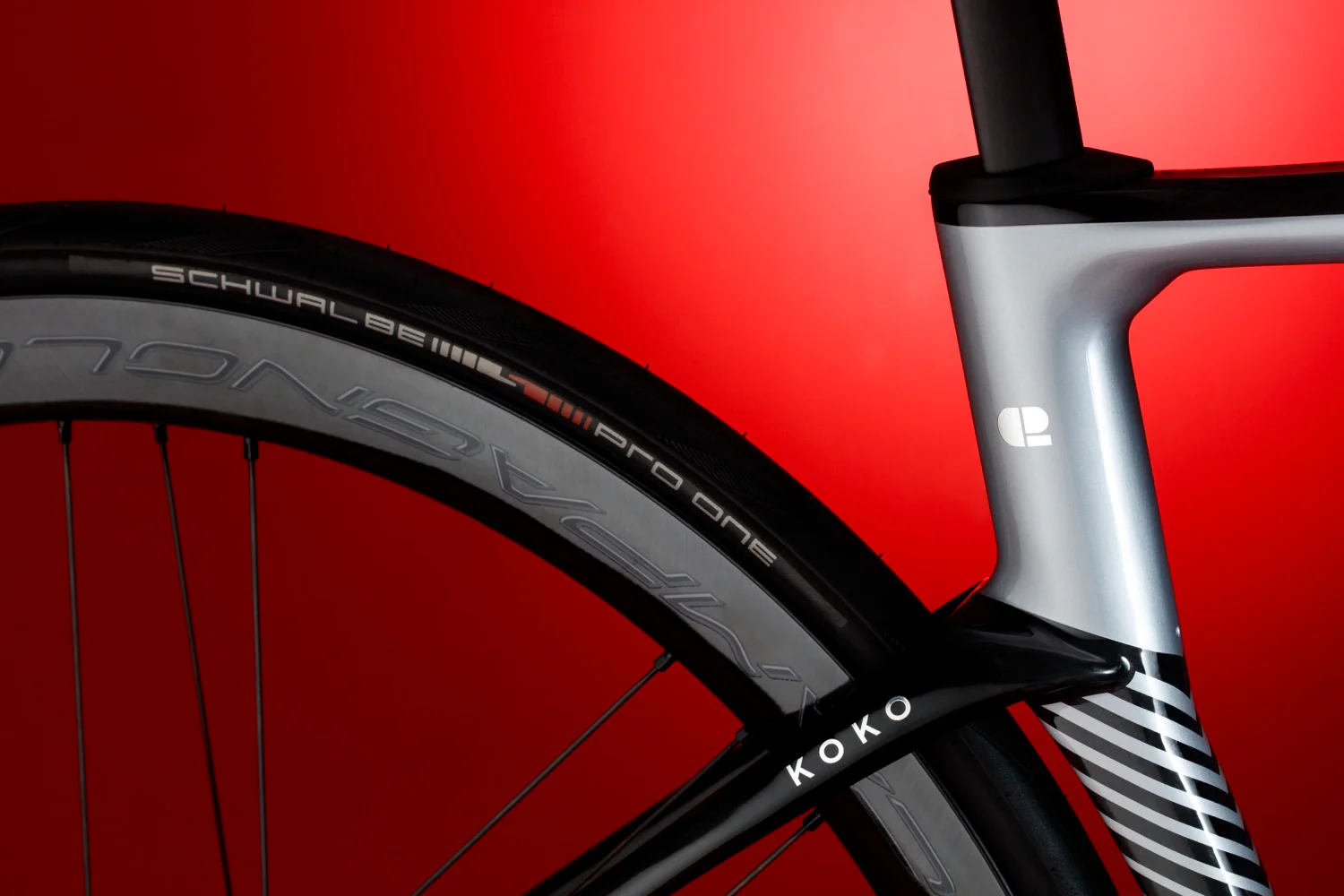 KOKO SILVER + UD (PONGA) - Image 13