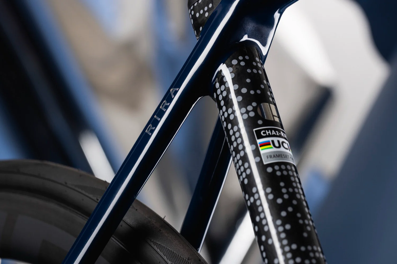 Chapter2 RIRA Framset - BLUE + UD DIGITAL - Image 9