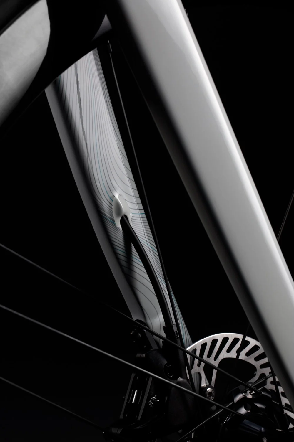 TOA GREY (KAPUA) - Image 14